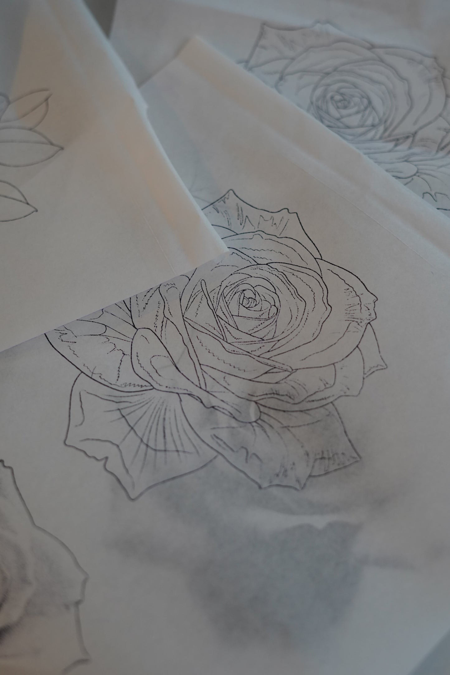 Pre-Made Tattoo Stencil Pack (Set of 10) – Lining, Shading and Colour Designs