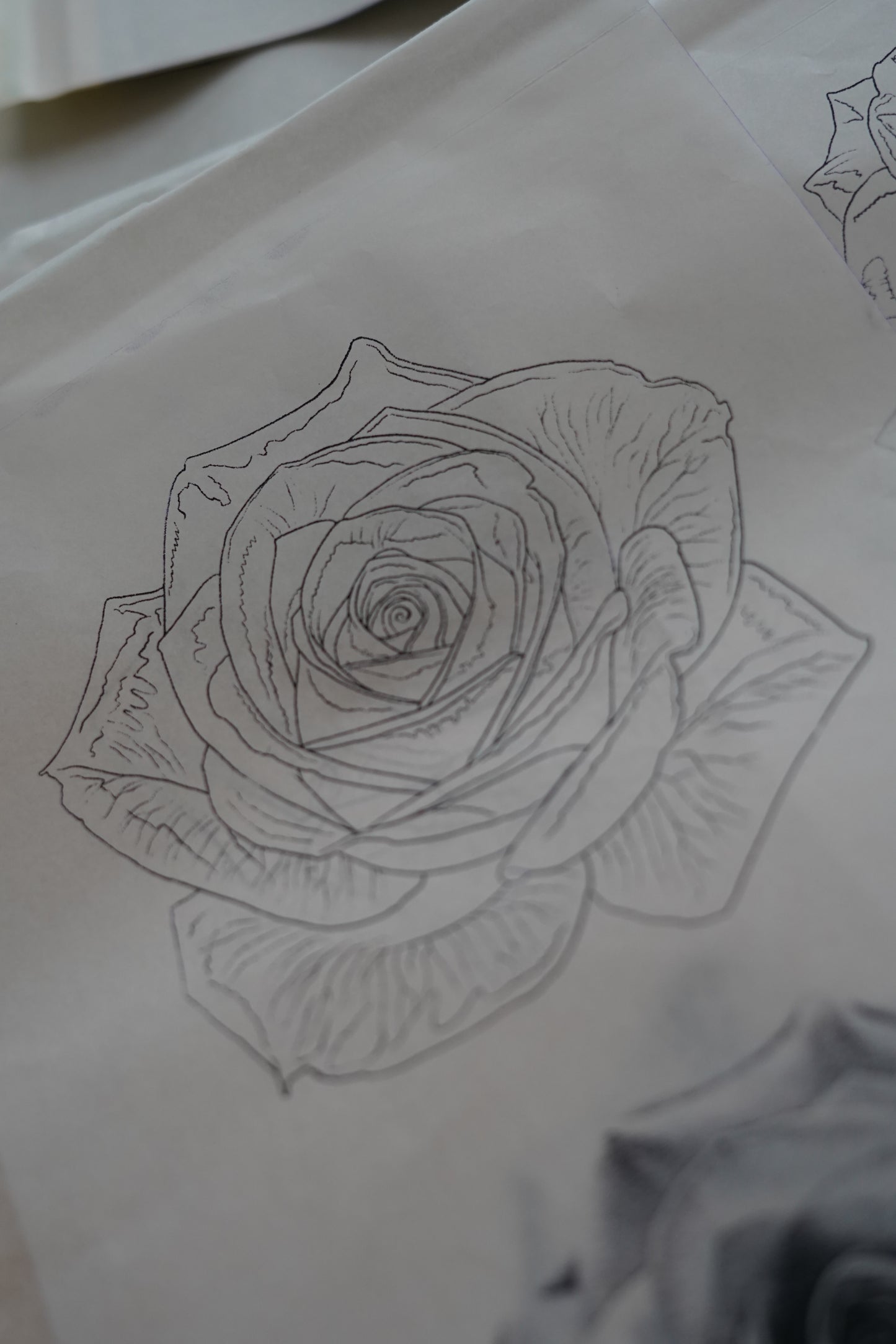 Pre-Made Tattoo Stencil Pack (Set of 10) – Lining, Shading and Colour Designs